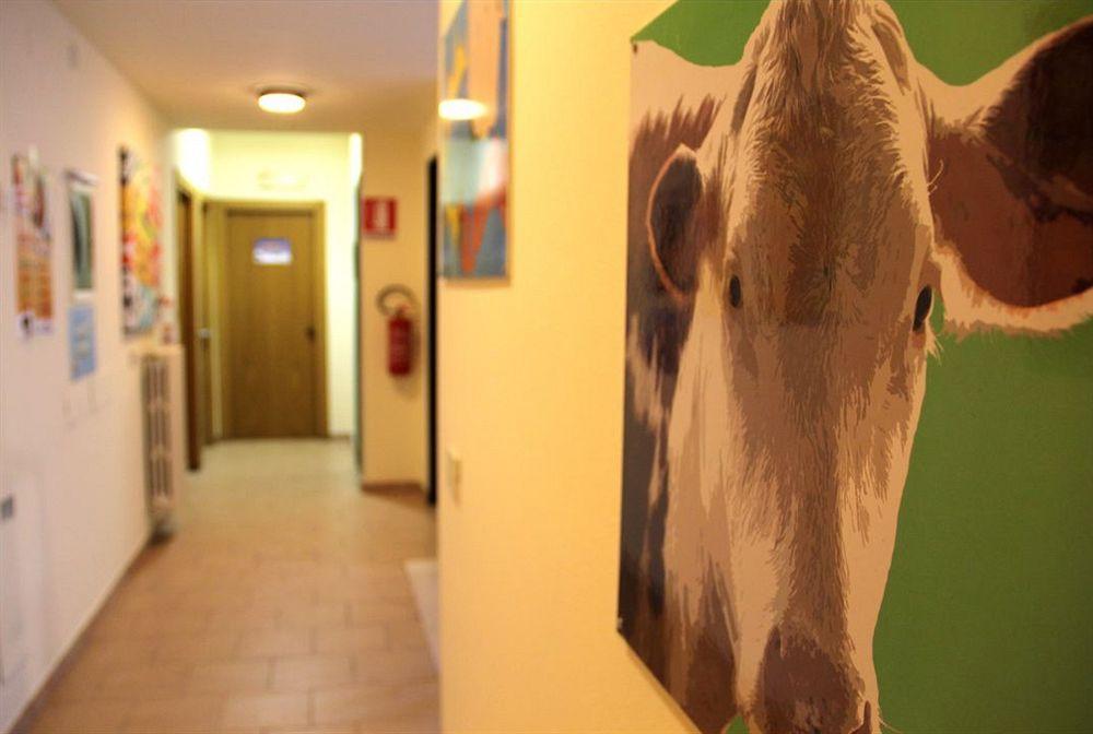 Guest house Giulia Pisa